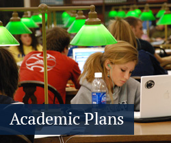 Students studying in library