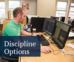 discipline option button